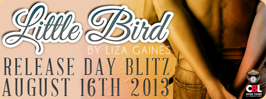 Little-Bird-Release-Day-Blitz-Banner