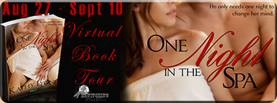 One Night In The Spa Banner 450 x 169